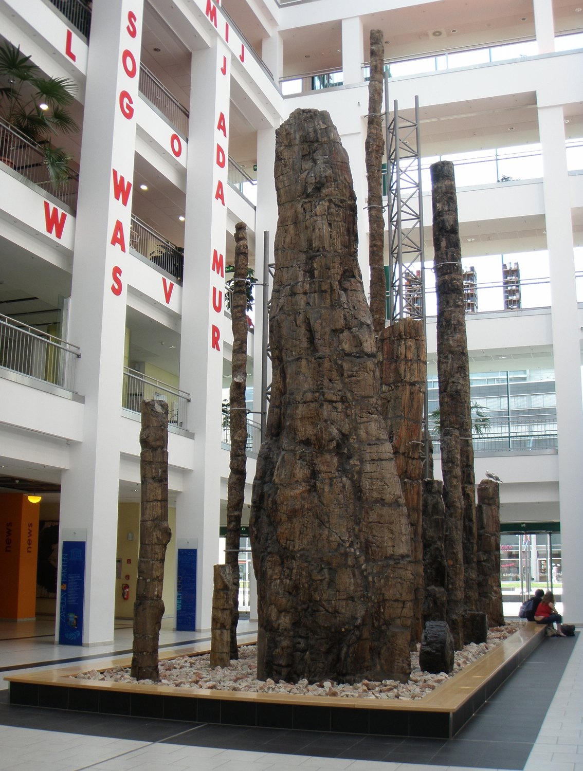 Petrified Forest in TIETZ