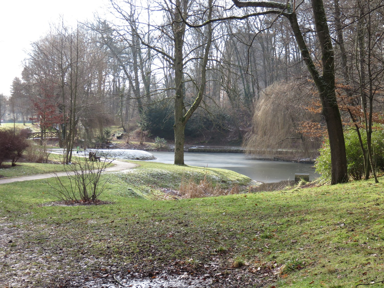 Paths and green space in Chemnitz Stadtpark