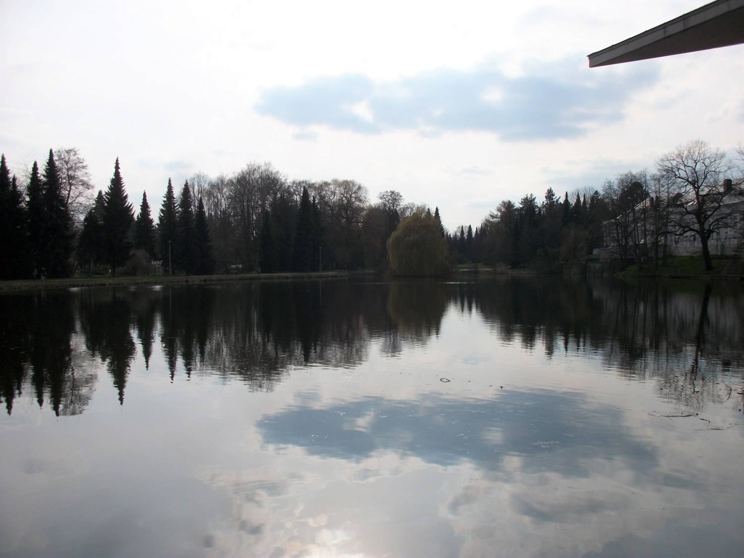 Shore and reflections at Pelzmühlenteich