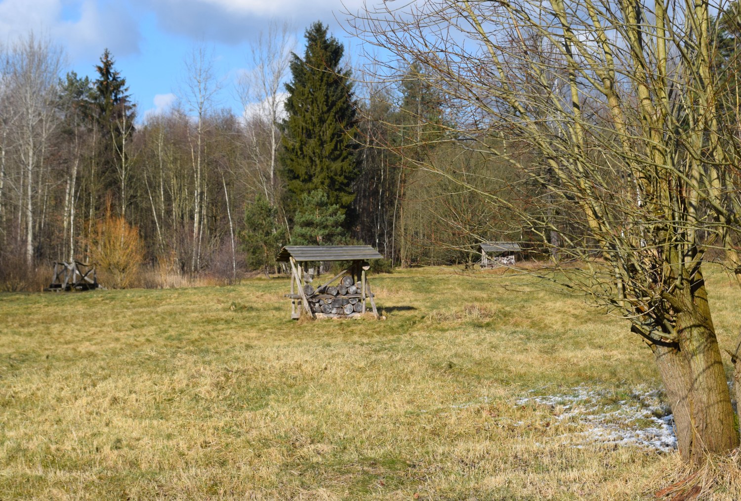 Woodland clearing and path in Zeisigwald